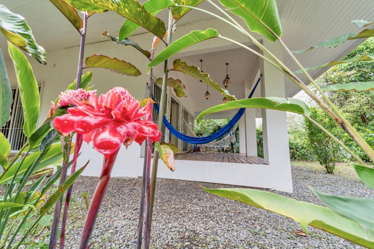 Vila Pineapple House Manzanillo Exteriér fotografie