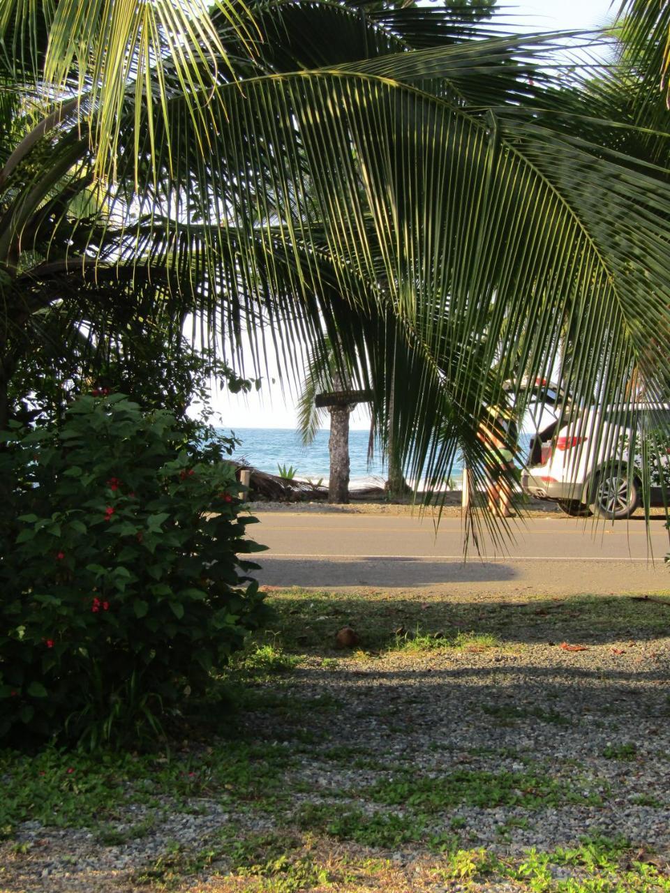 Vila Pineapple House Manzanillo Exteriér fotografie