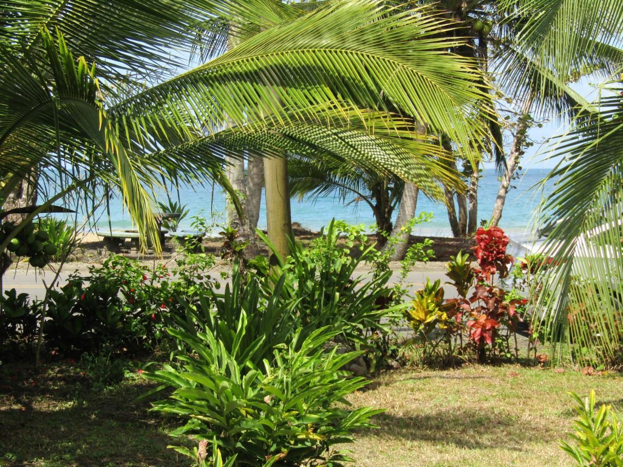 Vila Pineapple House Manzanillo Exteriér fotografie