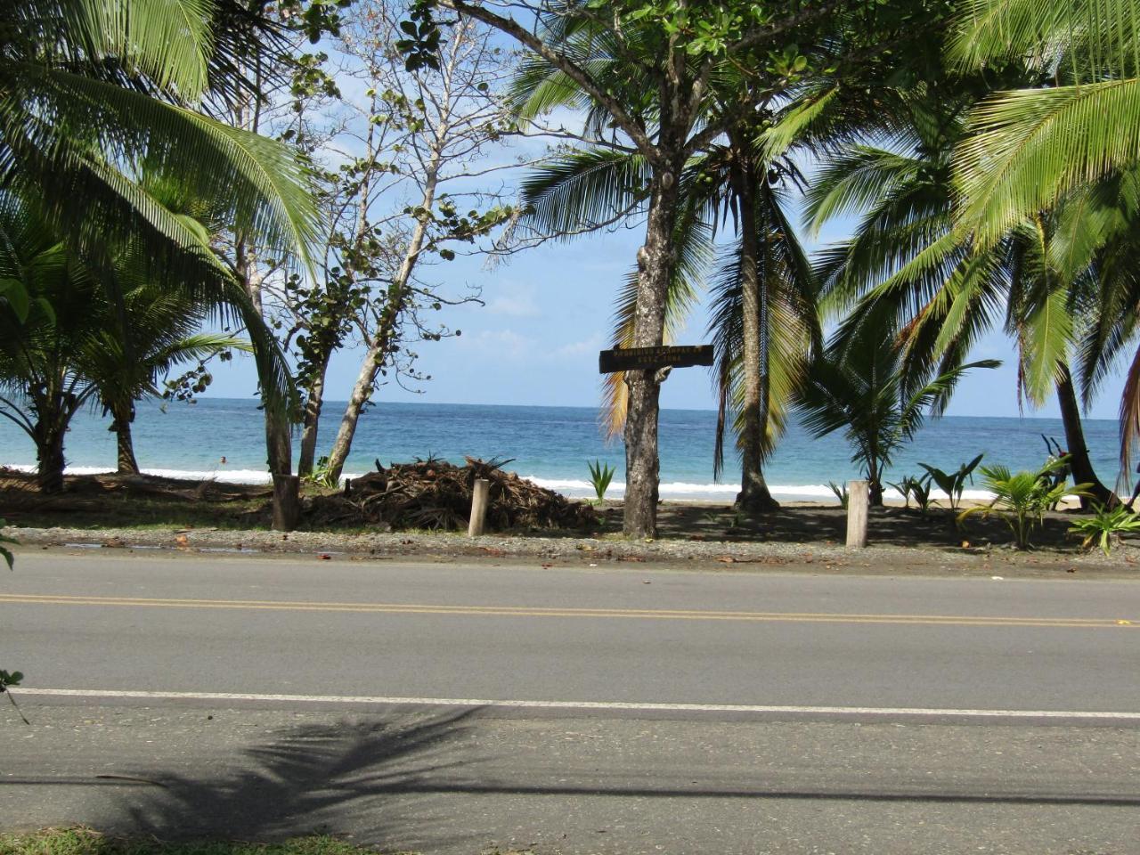 Vila Pineapple House Manzanillo Exteriér fotografie